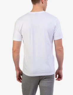 U.S. Polo Assn. SMALL LOGO POCKET T-SHIRT -Glimmera Cloth Shop 11390204 WHIT 4545