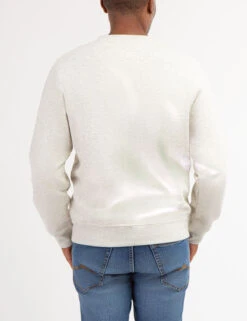 U.S. Polo Assn. SOLID CREW NECK SWEATSHIRT -Glimmera Cloth Shop 1186438R OTHE 67134