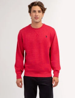 U.S. Polo Assn. SOLID CREW NECK SWEATSHIRT -Glimmera Cloth Shop 1186438R RDHT 67307