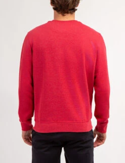 U.S. Polo Assn. SOLID CREW NECK SWEATSHIRT -Glimmera Cloth Shop 1186438R RDHT 67309