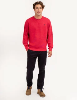 U.S. Polo Assn. SOLID CREW NECK SWEATSHIRT -Glimmera Cloth Shop 1186438R RDHT 67310