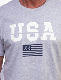 U.S. Polo Assn. USA GRAPHIC T-SHIRT -Glimmera Cloth Shop 11A31404 LTGY 0324