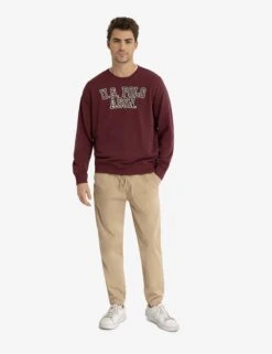 U.S. POLO ASSN. FRENCH TERRY APPLIQUE PULLOVER -Glimmera Cloth Shop 11A93187 MNBR 3193