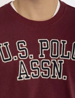 U.S. POLO ASSN. FRENCH TERRY APPLIQUE PULLOVER -Glimmera Cloth Shop 11A93187 MNBR 3203