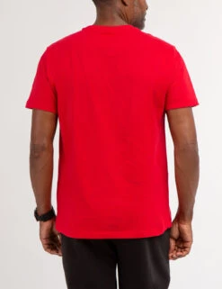 U.S. Polo Assn. USPA GRAPHIC JERSEY CREW NECK T-SHIRT -Glimmera Cloth Shop 11C17004 ERED 67752