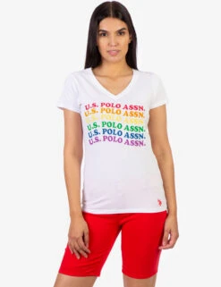 U.S. Polo Assn. USPA RAINBOW WAVE GRAHIC T-SHIRT