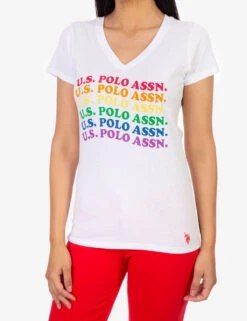 U.S. Polo Assn. USPA RAINBOW WAVE GRAHIC T-SHIRT -Glimmera Cloth Shop 2151400H OPWH det 0306