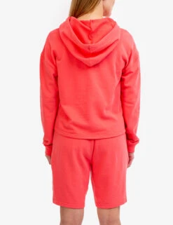 U.S. Polo Assn. CLASSIC LOGO HOODIE -Glimmera Cloth Shop 2157378Q CYCO 50300