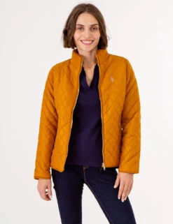 U.S. Polo Assn. QUILTED SIDE KNIT MOTO JACKET -Glimmera Cloth Shop 629599PT BTRS 72651