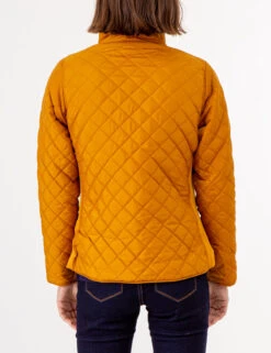 U.S. Polo Assn. QUILTED SIDE KNIT MOTO JACKET -Glimmera Cloth Shop 629599PT BTRS 72659