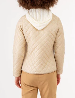 U.S. Polo Assn. QUILTED SIDE KNIT MOTO JACKET -Glimmera Cloth Shop 629599PT WTPL 72493